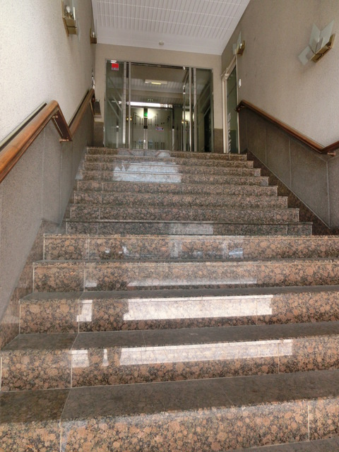 モンフレールのその他