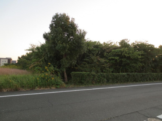 売土地　中央区三幸町の外観