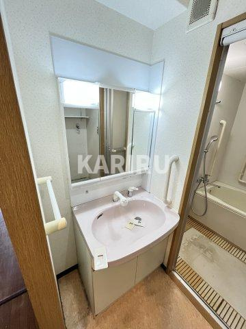 エヌズの洗面所