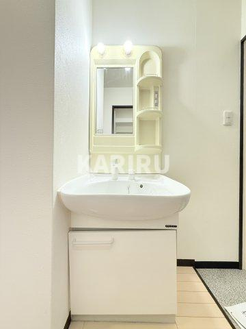 グランパシフィック鶴橋 の洗面所