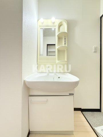 グランパシフィック鶴橋 の洗面所