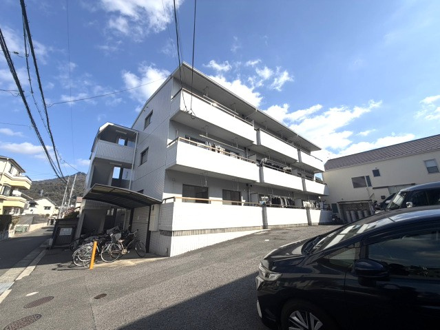 メゾンマツモト