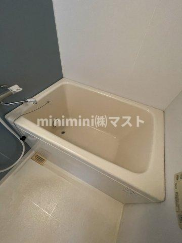 エスレジデンス谷町九丁目の浴室