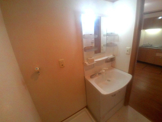 アムール魚住の洗面所