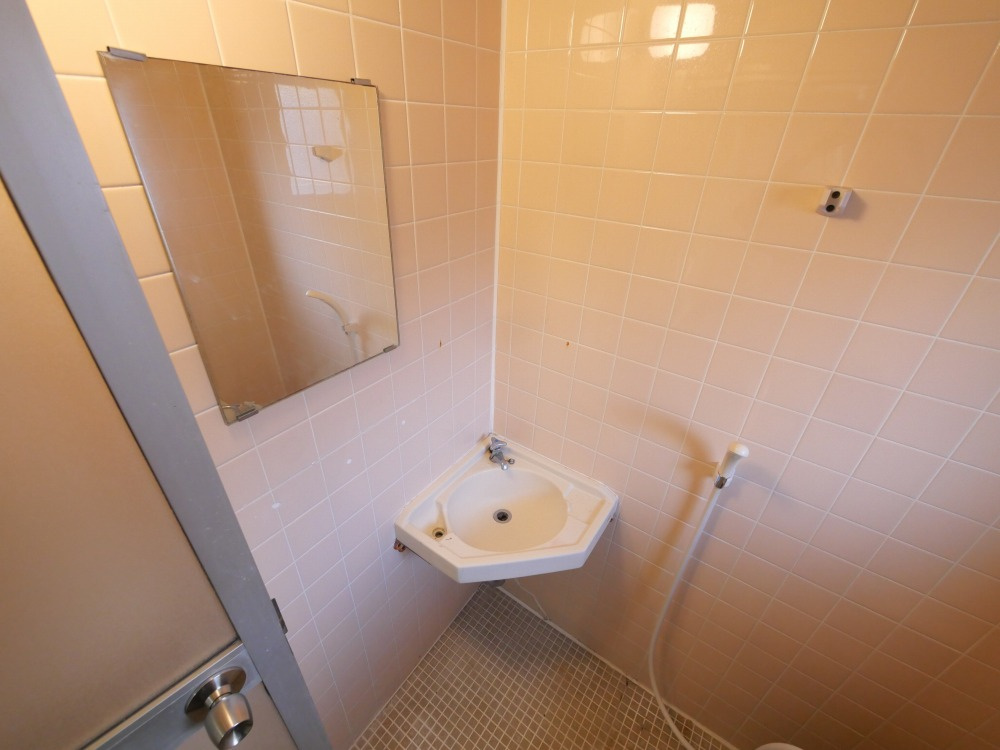 大阪市東住吉区湯里２丁目の賃貸マンションの独立洗面台