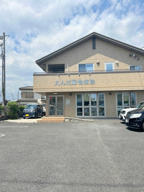 ラ・ココティエのその他|えんだ動物病院