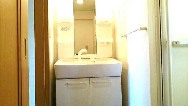 カルムBの洗面所