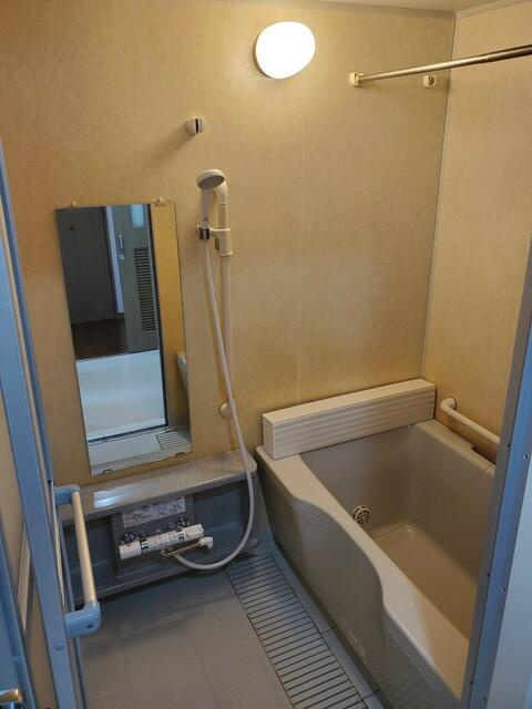 エストブリランテの浴室