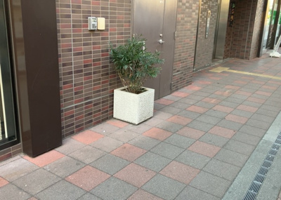 【庭】 | ステーションスカイタワー小田急相模原 | 庭があることでガーデニングや家庭菜園はもちろん、こどもの遊び場やペットを放して遊ぶことができます。また、家の周囲に余裕があるということです。隣地との間があれば、十分な日当たりと、風通しが確保できます。