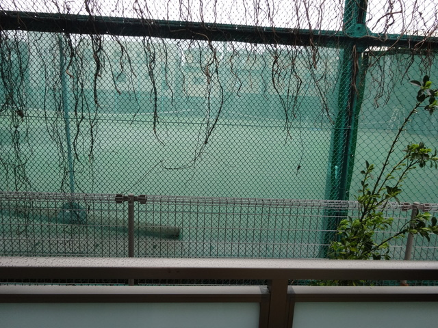 リブリ・シャドゥールの展望|目の前グランドです♪