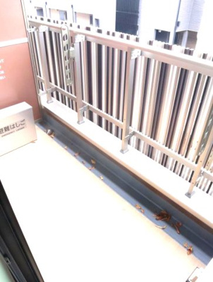 【バルコニー】 | ヴァン・ヴェール鷹の台