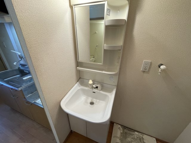 リベルテⅡの洗面所