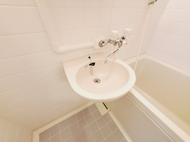 ロシェ宝塚の洗面所