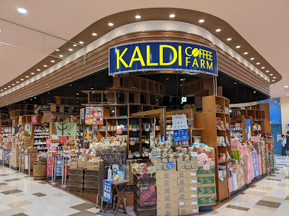 CASA PIAZZA 西大島の周辺