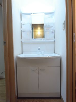 コーポ司の独立洗面台