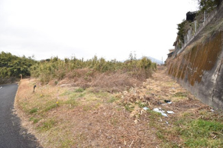 【外観】 | 鹿屋市上谷町　売地 (全3筆)