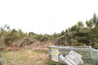 【外観】 | 鹿屋市上谷町　売地 (全3筆)