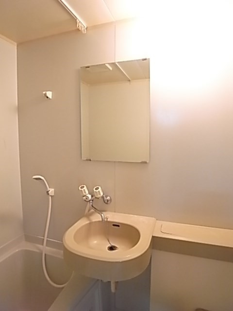 ぺイサージュサンコーの洗面所