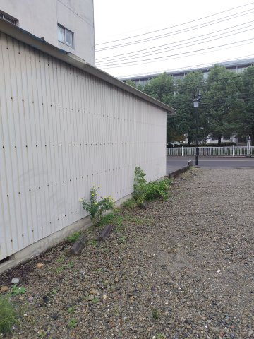 ６６１６４　岐阜市鷺山土地の外観