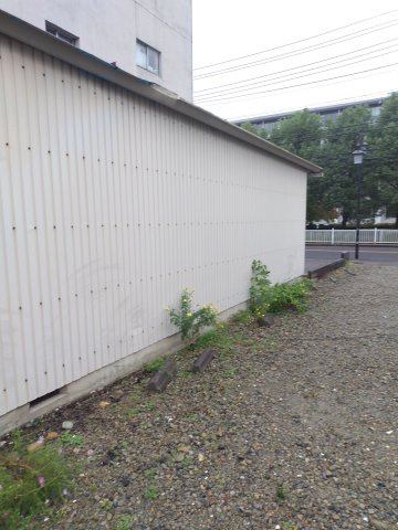６６１６４　岐阜市鷺山土地の外観