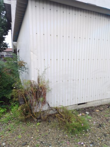 ６６１６４　岐阜市鷺山土地の外観