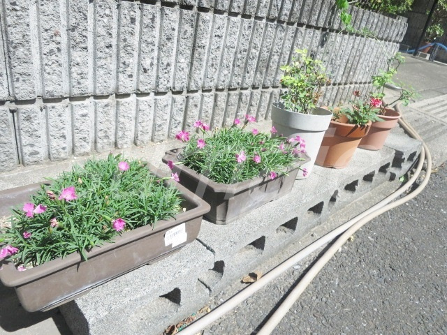 ソレイユ北赤羽のその他|緑があって癒されますね♪