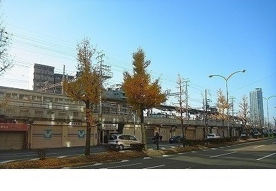 サンモールアベニューの周辺|阪急【春日野道駅】様まで520m