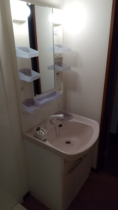 セジュールＡＭＡＮＯⅡの洗面所