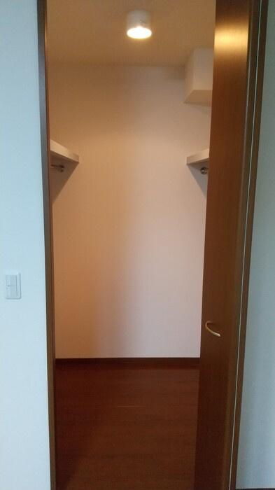 セジュールＡＭＡＮＯⅡの収納