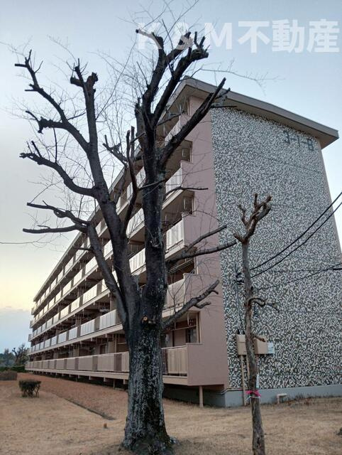 大津ヶ丘第一住宅３－１－８号棟