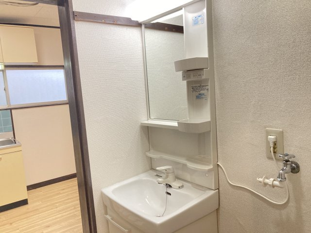 コーポモザン105の洗面所