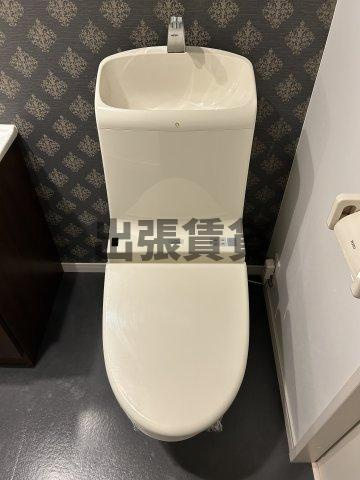 仲介手数料0円！！シャローム光のトイレ