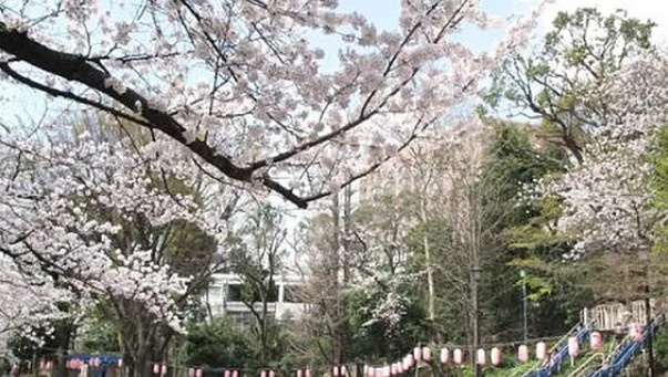 早稲田鶴巻町IMAハウスの周辺