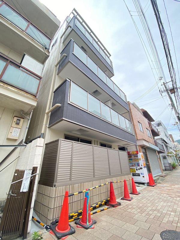 ヒマワリ八雲