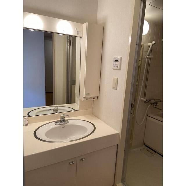 文京グリーンコートビュータワー本駒込の洗面所