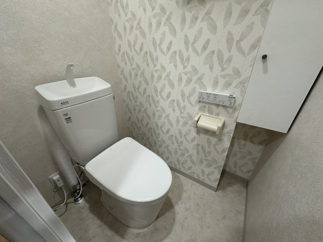 ガーデンビラ舞子1号棟のトイレ