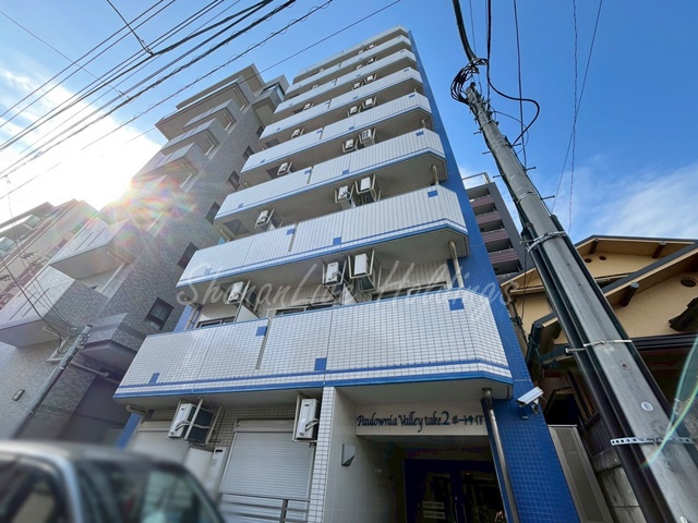 Paulownia Valley take2 ポートサイド