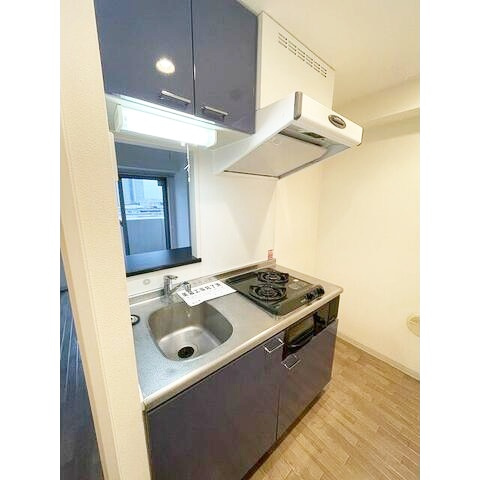 Paulownia Valley take2 ポートサイドのキッチン|2口ガスコンロシステムキッチン♪