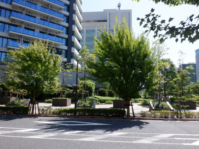 ベイサイドタワー晴海の周辺