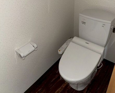 サンビューマンション中京のトイレ