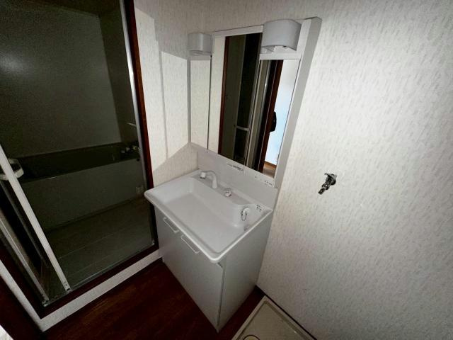 ソレイユ南条の洗面所