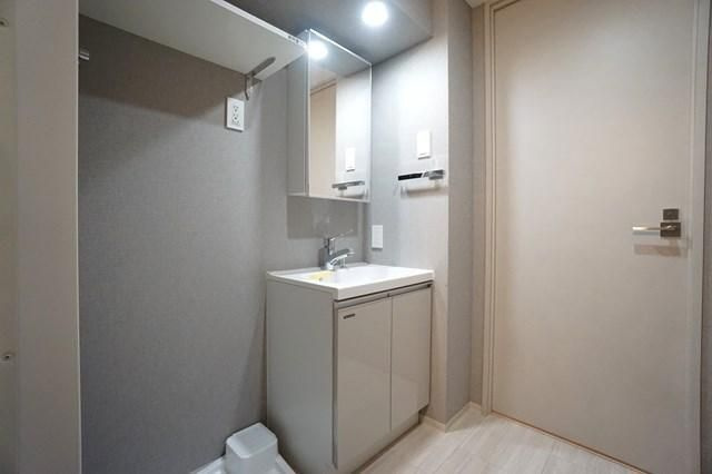 ＡＬＴＥＲＮＡ菊川Ⅱの独立洗面台