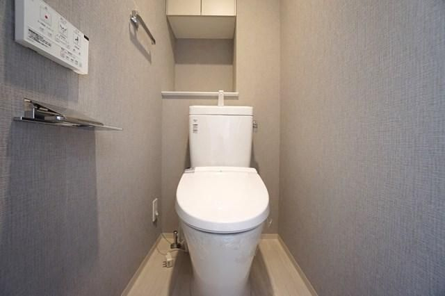 ＡＬＴＥＲＮＡ菊川Ⅱのトイレ