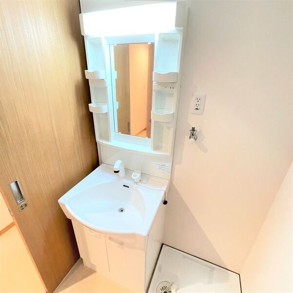 グランドソレイユⅡの洗面所