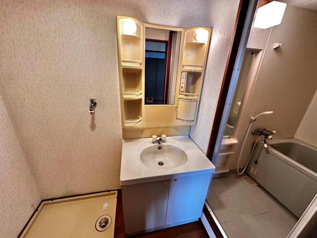 ソレイユ南条の洗面所