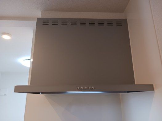 ヴェルデ　ルーチェのその他