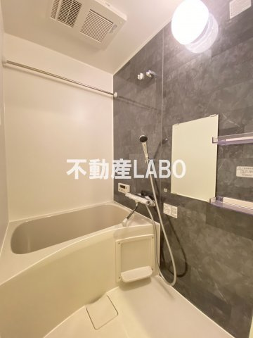 アドバンス天王寺南パキラの浴室