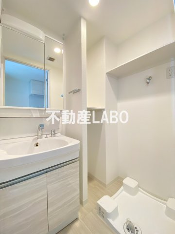 アドバンス天王寺南パキラの洗面所