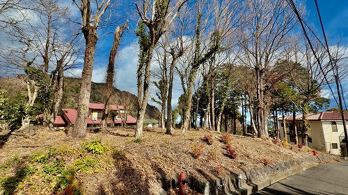 伊豆急伊豆高原　売地の画像