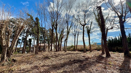 【外観】 | 伊豆急伊豆高原　売地